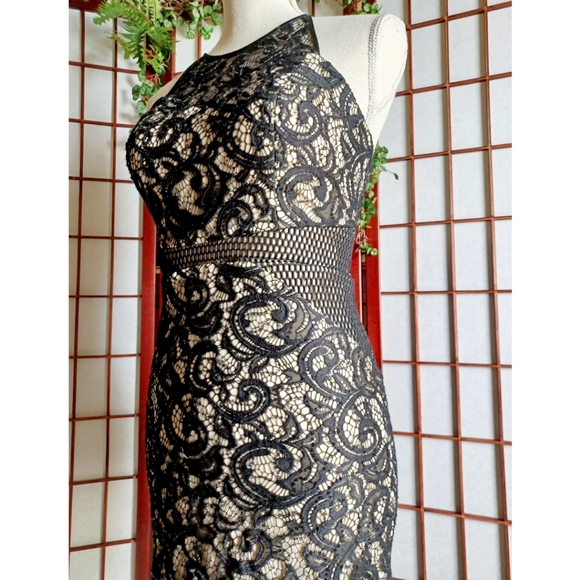 Dream ' Moon Halter Cutout Zip Back Lace Mini Dress - Picture 10 of 16